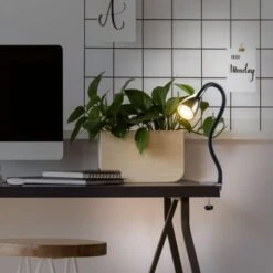 Lampada LED Da Tavolo Con Morsetto Dimmerabile Su 3 Livelli, Include Lampadina 5W GU10, Luce Calda 3000K, Lampada Da Scrivania O Comodino Nera -Offerta economica OSRAM || Paulmann || ATMOSPHERA 20100712 4