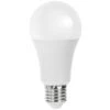 Lampadina Led E27 A67 A Bulbo 20W Bianco Caldo 3000K Aigostar