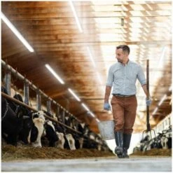 Lampada LED Impermeabile IP65 33 Luci 50.000 Ore 150 Cm -Offerta economica OSRAM || Paulmann || ATMOSPHERA 45686466 4