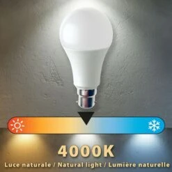 Lampadina SMD LED, Goccia A60, 15W/1520lm, Base B22 (Francia), 4000K -Offerta economica OSRAM || Paulmann || ATMOSPHERA 46541846 4