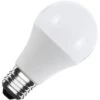 Lampadina LED E27 A60 12/24V AC/DC 10W No Flicker Bianco Naturale 4000K 360º -Offerta economica OSRAM || Paulmann || ATMOSPHERA 54889582 1