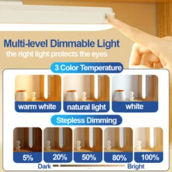 Lampada A LED Ricaricabile Dimmerabile, Lampada Decorativa Per Interni, Perfetta Per Ufficio, Camera Da Letto, Comodino O Tavolo Da Lettura - Nessun Telecomando -Offerta economica OSRAM || Paulmann || ATMOSPHERA 61177848 3