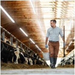 Lampada LED Impermeabile IP65 50 Luci 50.000 Ore 40 W 90 Cm -Offerta economica OSRAM || Paulmann || ATMOSPHERA 69708642 4