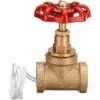 HIASDFLS Interruttore Della Luce Della Valvola Di Arresto Della Maniglia Rossa Da 1/2 Pollice Steampunk Vintage Con Filo Per Lampada Per Tubi Dell'acqua -Offerta economica OSRAM || Paulmann || ATMOSPHERA 88133159 1