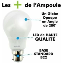 Lampadina LED B22 11W 2700K Equivalente 75W -Offerta economica OSRAM || Paulmann || ATMOSPHERA 88907756 2