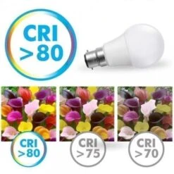 Lampadina LED B22 11W 2700K Equivalente 75W -Offerta economica OSRAM || Paulmann || ATMOSPHERA 88907756 4