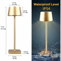 LITZEE Lampada Da Comodino Lampada Da Tavolo Senza Fili, Lampada Senza Fili Ricaricabile Dimmerabile 5200mAh, Lampada Da Esterno Impermeabile IP54, Per Interni Esterni Ristorante Buffet Bar Cafe, Oro -Offerta economica OSRAM || Paulmann || ATMOSPHERA 90638651 2