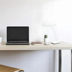 Lampada Da Scrivania A LED Lampada Da Tavolo Con Touch Dimmerabile 3 Luminosità Lampada Da Scrivania Lampada Da Scrivania Livelli Di Luminosità Lampada Da Lettura Da Comodino Bianca Retoo -Offerta economica OSRAM || Paulmann || ATMOSPHERA 96815617 4